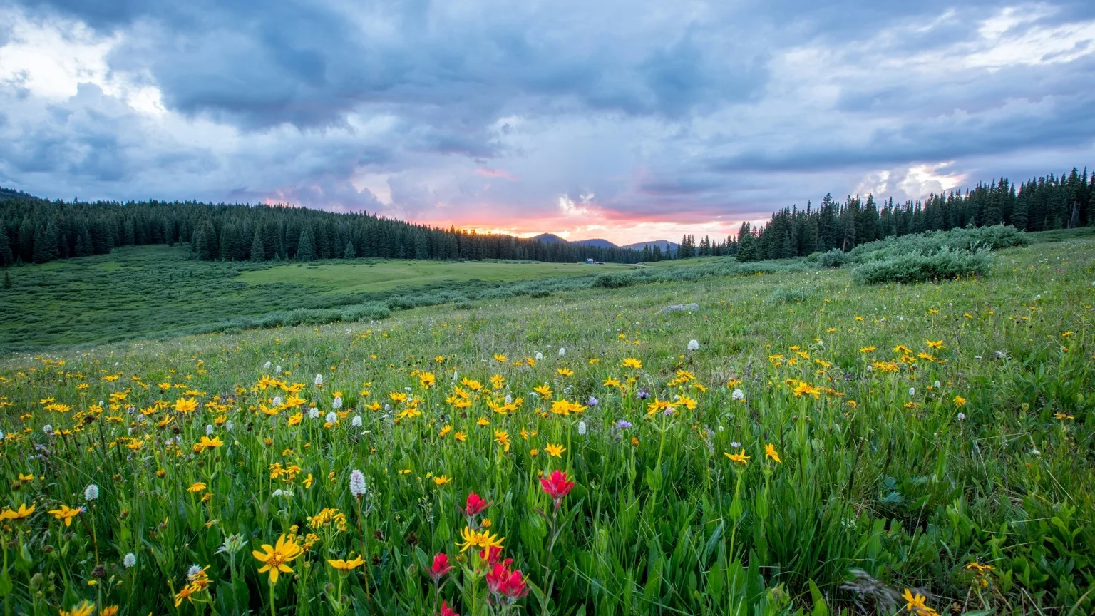 Spring Clean Your Mind, Body and Soul