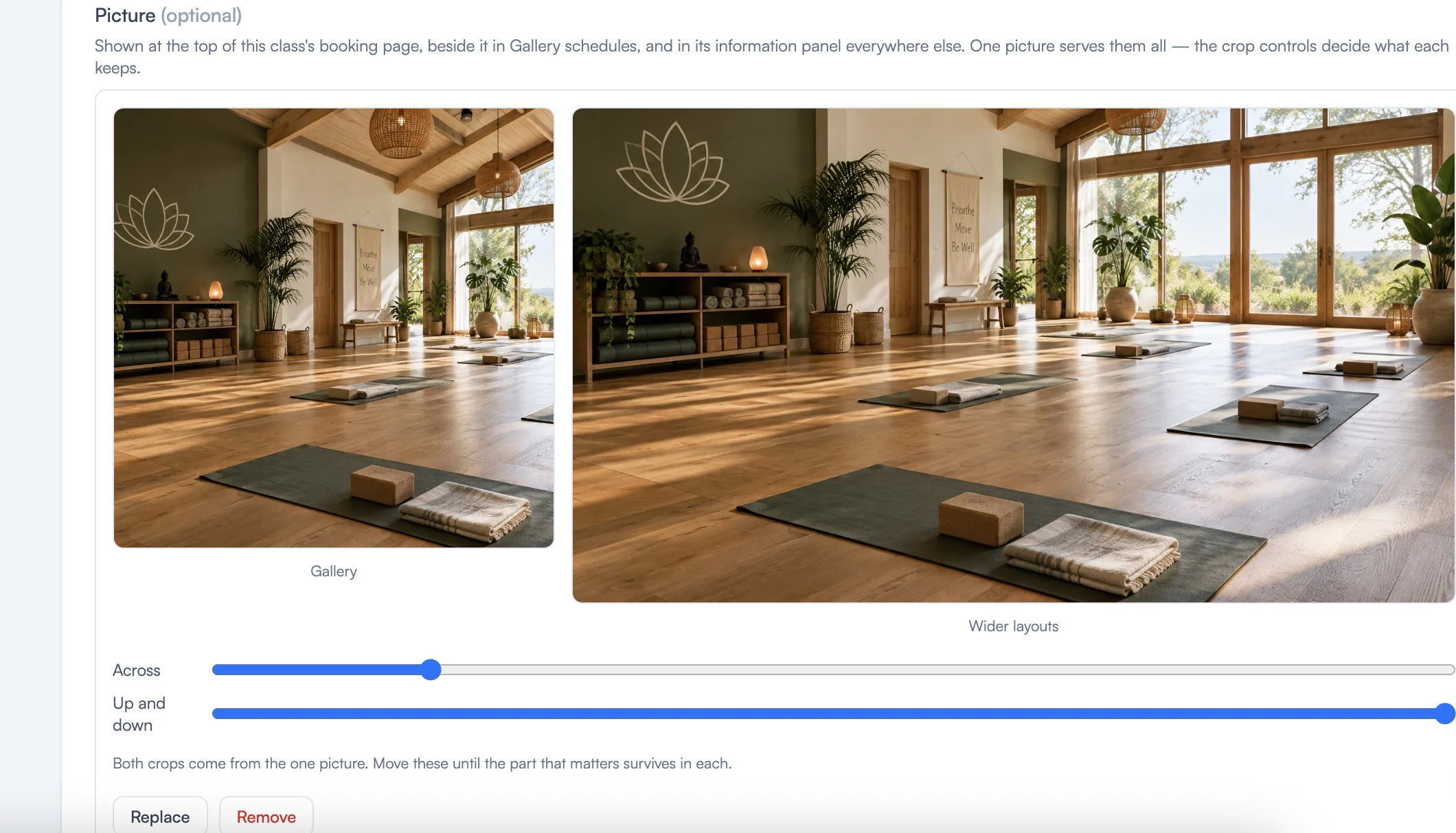 The picture control showing the Gallery and Wider layouts previews with the Across and Up and down sliders